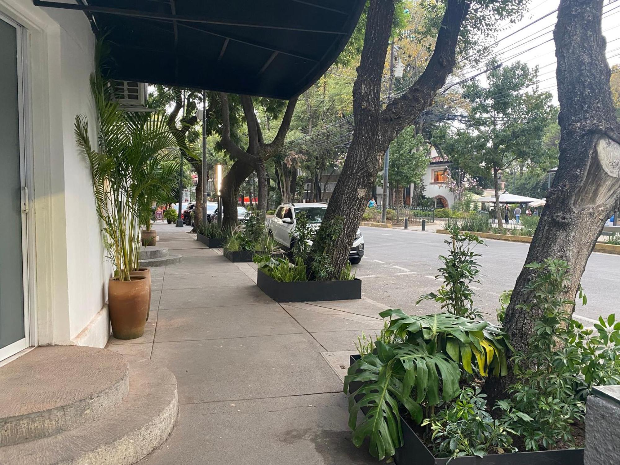Casa Corp Boutique Suites In Condesa Ciudad de México Exterior foto